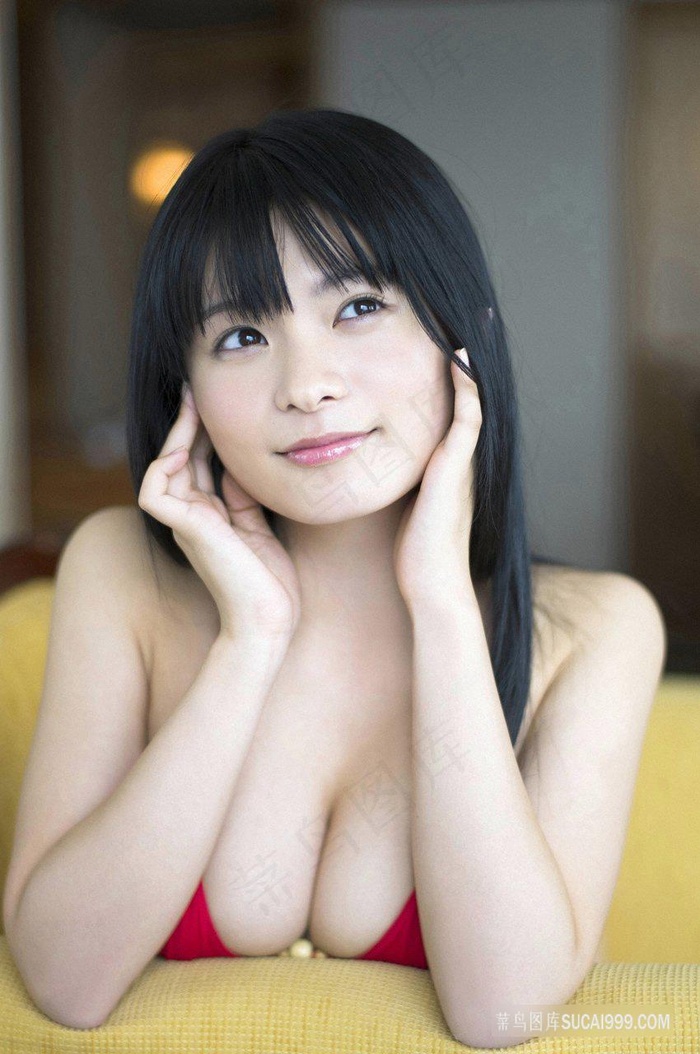 同性浪漫情感小说